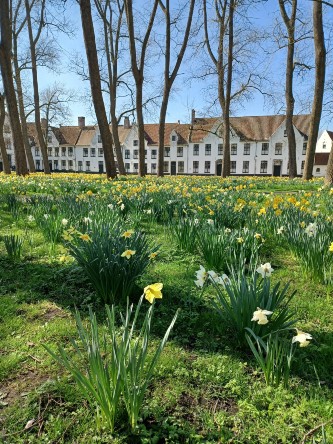 Brugge Begijnhof Pasen